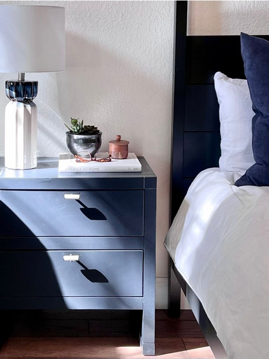 Mid-century modern interior design Sacramento