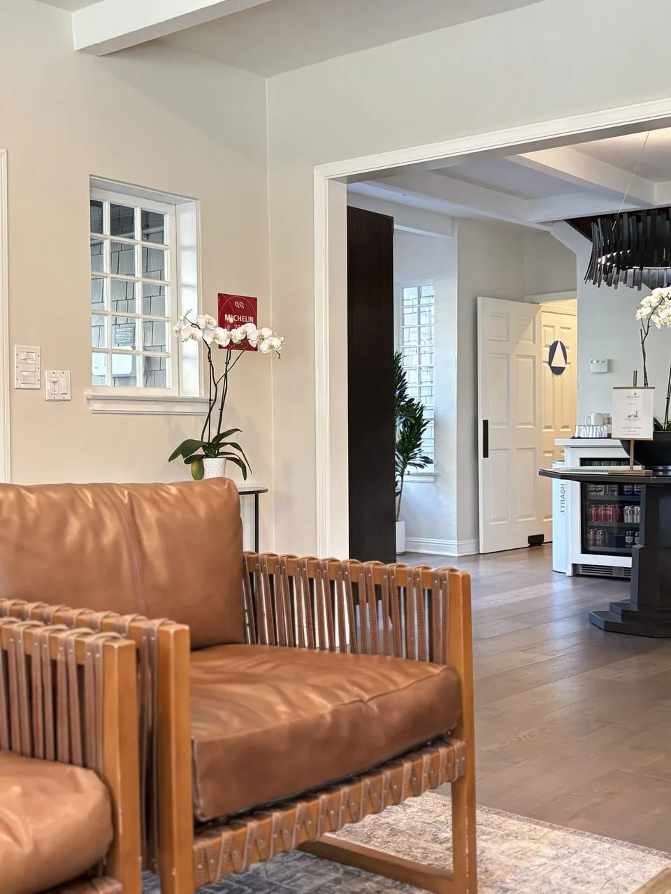 A modern living room with brown leather chairs, a white orchid plant, and a view into a kitchen area with a black