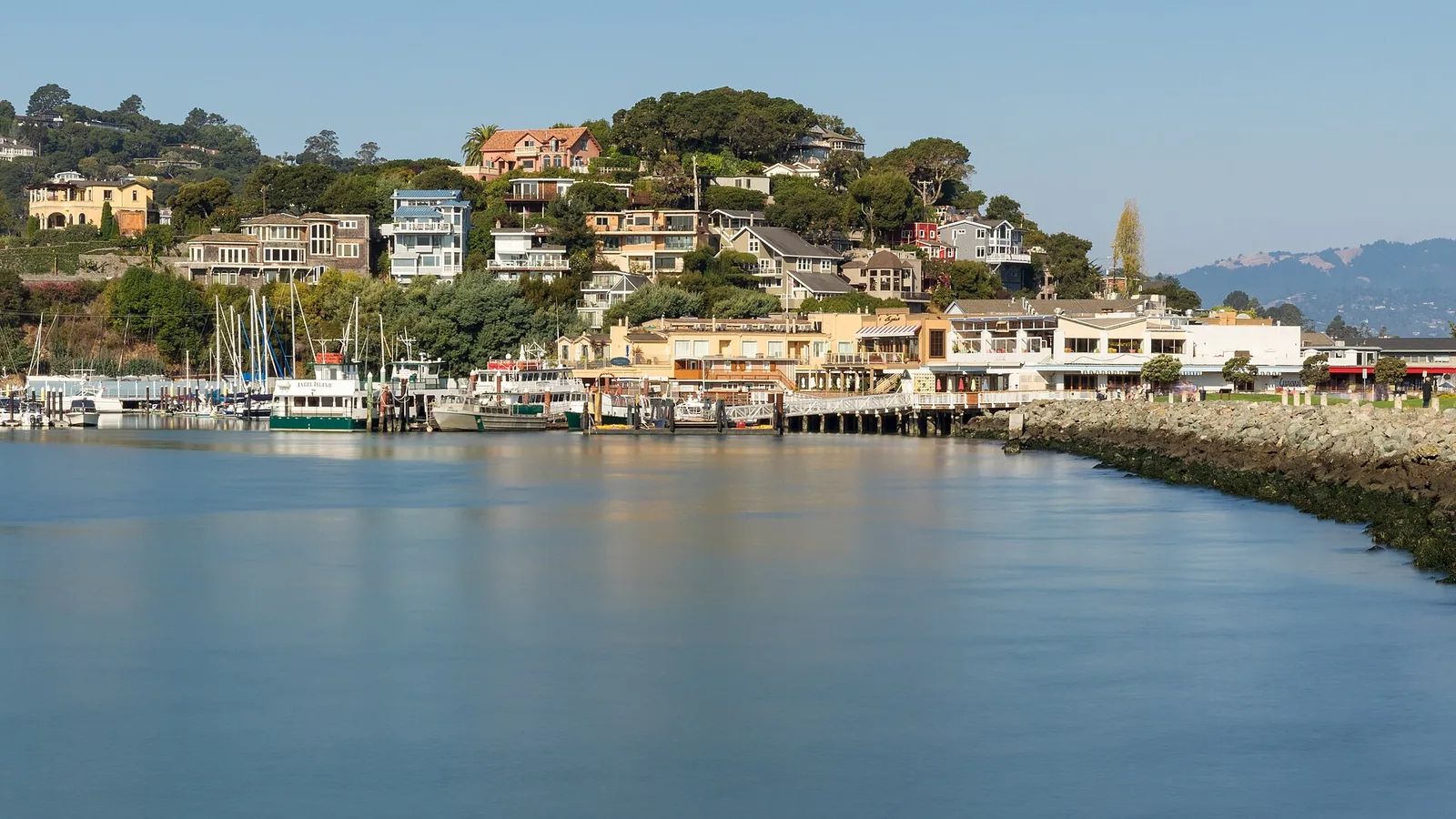 Interior Designer Tiburon | Designed | Curated Interiors