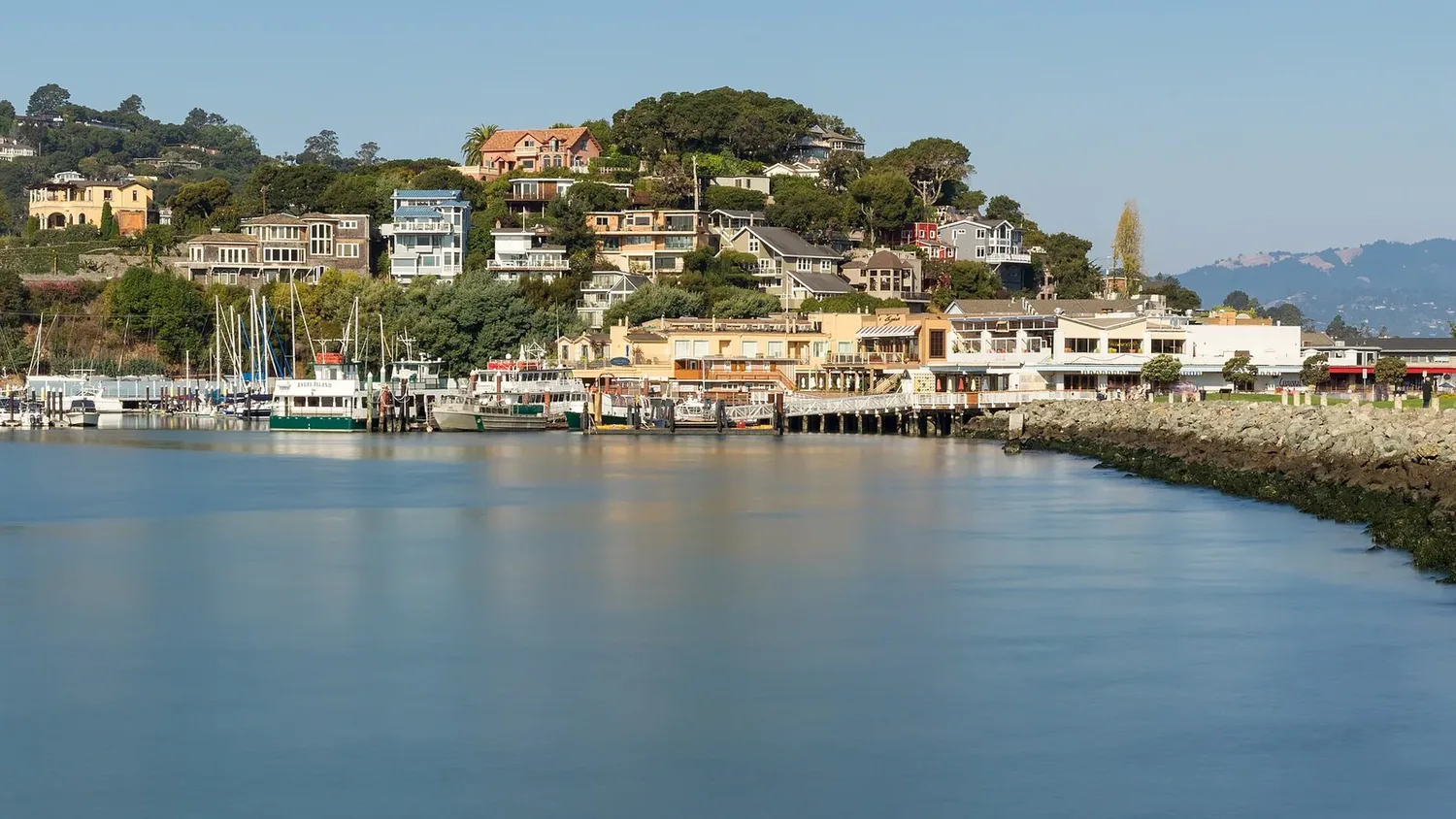 Tiburon Interior Design That Balances Beauty, Function, and Budget, Without the Creep
