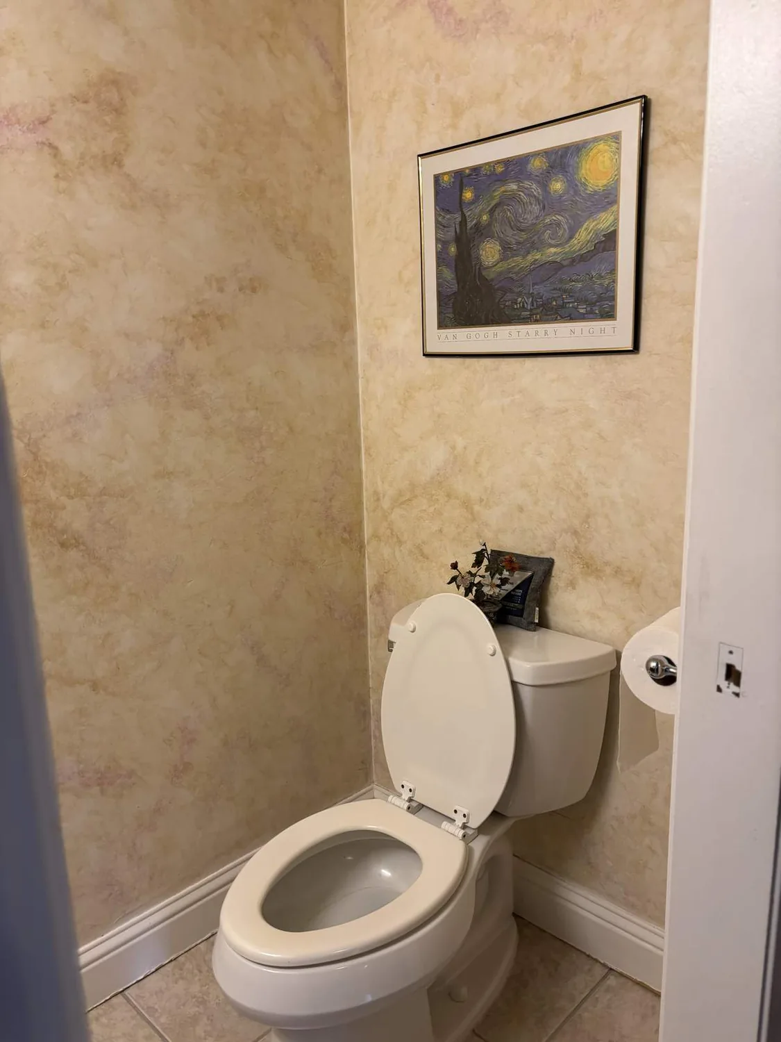 White toilet, beige walls, Starry Night above. Small space