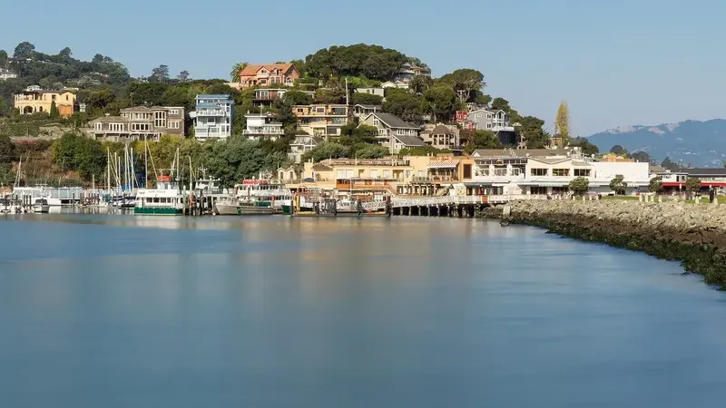 Interior Design Cost Tiburon 2026: Honest Numbers